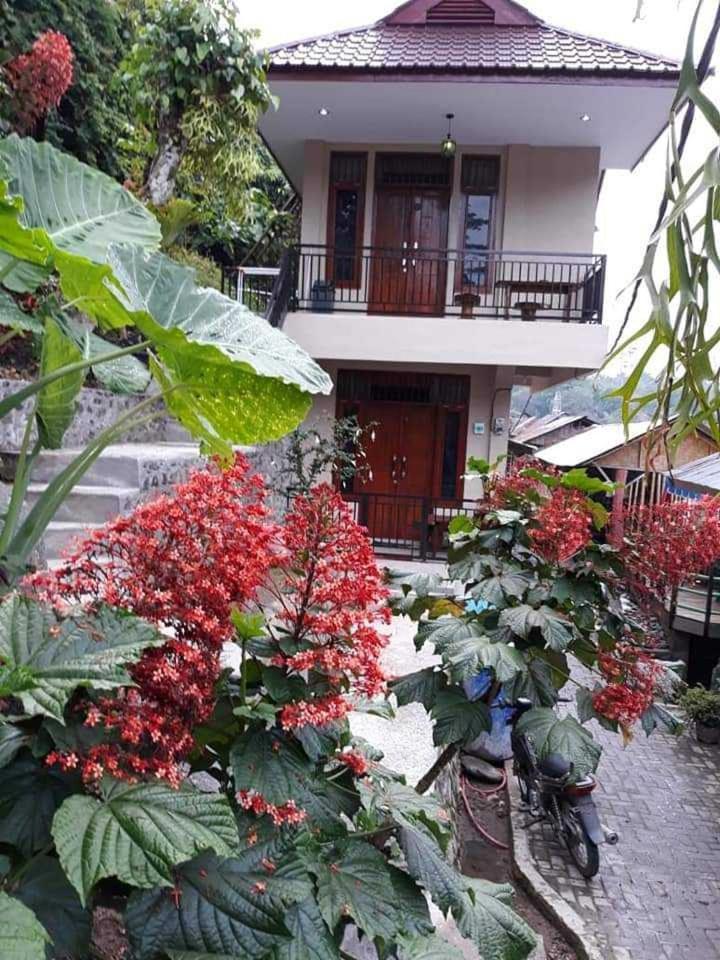 Bukit Lawang Hotel Bagian luar foto